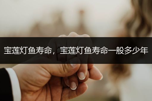寶蓮燈魚壽命，寶蓮燈魚壽命一般多少年