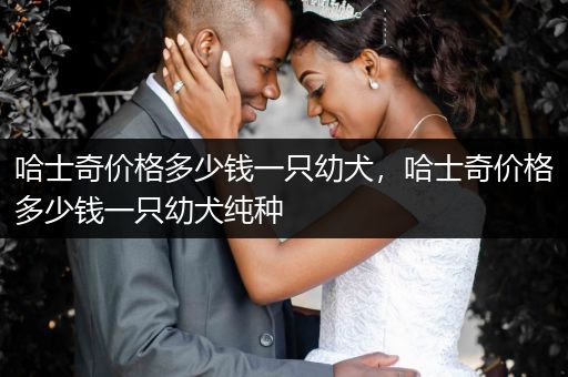 哈士奇價格多少錢一只幼犬，哈士奇價格多少錢一只幼犬純種