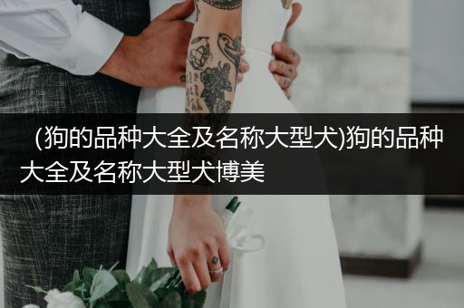 （狗的品種大全及名稱大型犬)狗的品種大全及名稱大型犬博美