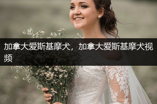 加拿大愛斯基摩犬，加拿大愛斯基摩犬視頻