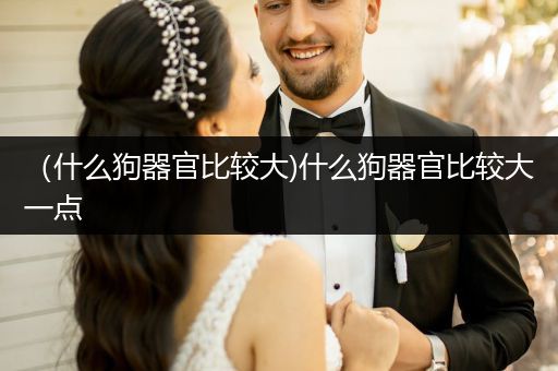 （什么狗器官比較大)什么狗器官比較大一點