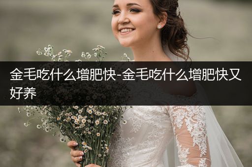 金毛吃什么增肥快-金毛吃什么增肥快又好養(yǎng)