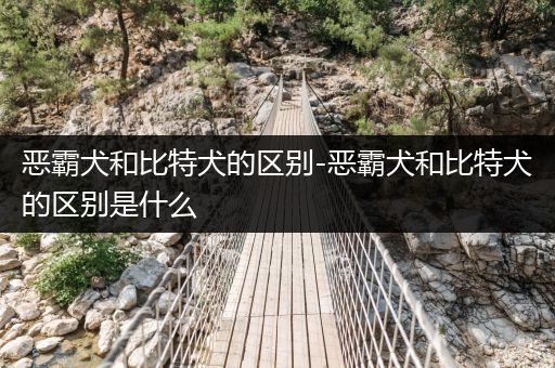 惡霸犬和比特犬的區(qū)別-惡霸犬和比特犬的區(qū)別是什么