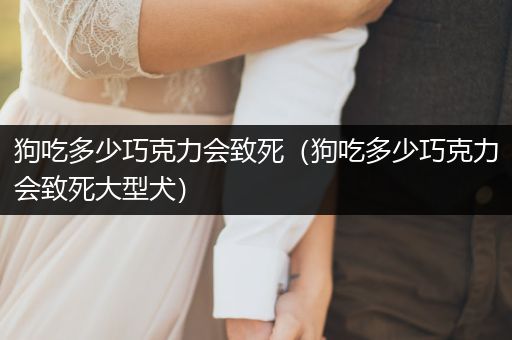 狗吃多少巧克力會致死（狗吃多少巧克力會致死大型犬）