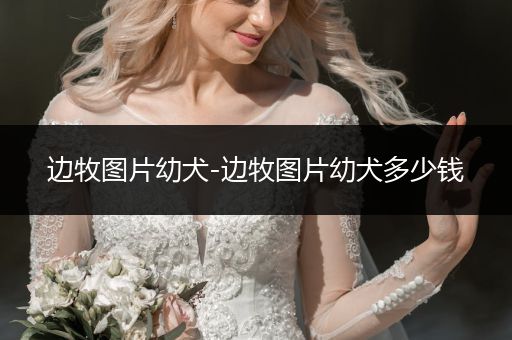 邊牧圖片幼犬-邊牧圖片幼犬多少錢