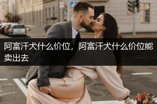阿富汗犬什么價位，阿富汗犬什么價位能賣出去