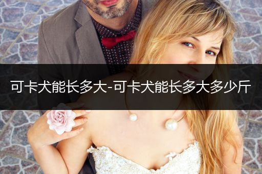 可卡犬能長多大-可卡犬能長多大多少斤