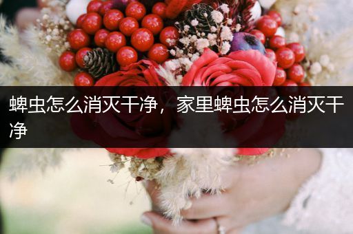 蜱蟲怎么消滅干凈，家里蜱蟲怎么消滅干凈