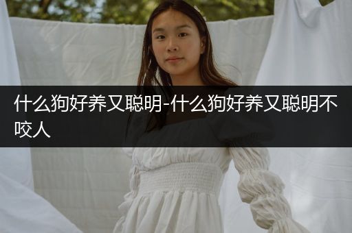 什么狗好養(yǎng)又聰明-什么狗好養(yǎng)又聰明不咬人