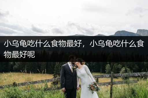 小烏龜吃什么食物最好，小烏龜吃什么食物最好呢