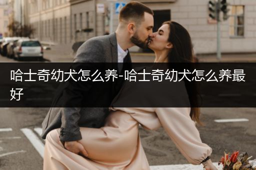 哈士奇幼犬怎么養(yǎng)-哈士奇幼犬怎么養(yǎng)最好