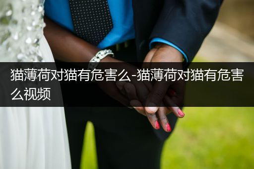 貓薄荷對(duì)貓有危害么-貓薄荷對(duì)貓有危害么視頻