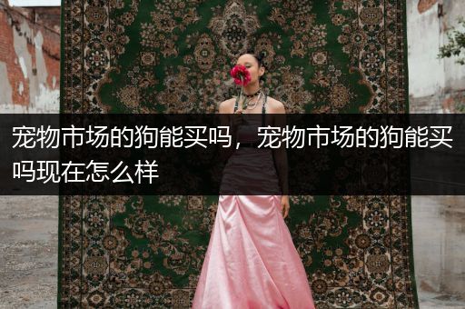 寵物市場的狗能買嗎，寵物市場的狗能買嗎現(xiàn)在怎么樣