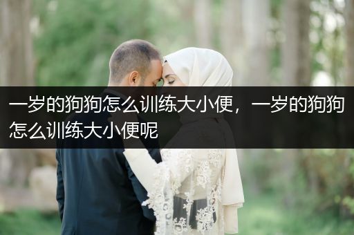 一歲的狗狗怎么訓(xùn)練大小便，一歲的狗狗怎么訓(xùn)練大小便呢