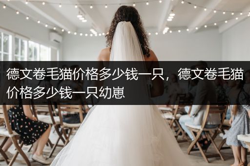 德文卷毛貓價格多少錢一只，德文卷毛貓價格多少錢一只幼崽