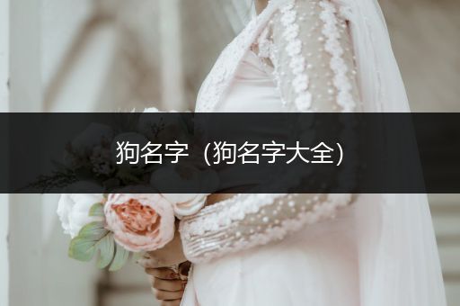 狗名字（狗名字大全）