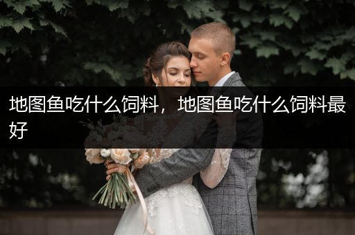 地圖魚吃什么飼料，地圖魚吃什么飼料最好