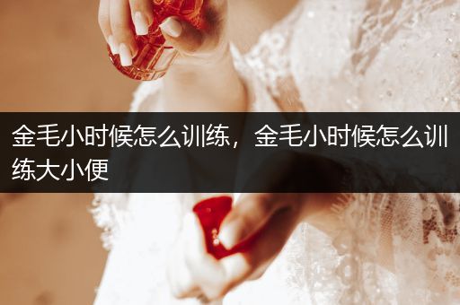 金毛小時候怎么訓練，金毛小時候怎么訓練大小便