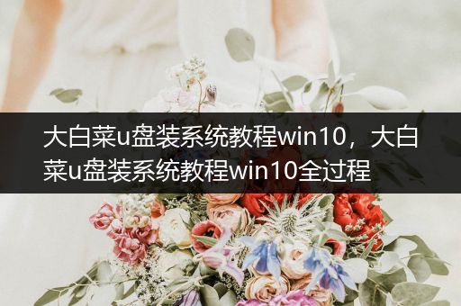 大白菜u盤裝系統(tǒng)教程win10，大白菜u盤裝系統(tǒng)教程win10全過程