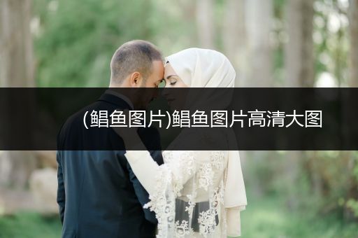 （鯧魚(yú)圖片)鯧魚(yú)圖片高清大圖