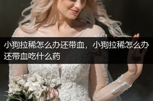 小狗拉稀怎么辦還帶血，小狗拉稀怎么辦還帶血吃什么藥