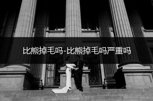 比熊掉毛嗎-比熊掉毛嗎嚴重嗎