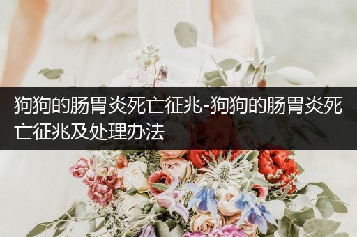 狗狗的腸胃炎死亡征兆-狗狗的腸胃炎死亡征兆及處理辦法