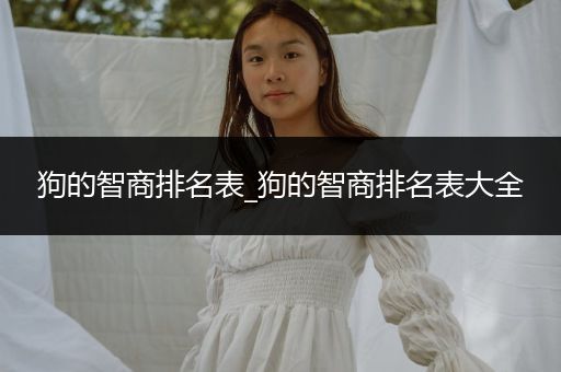 狗的智商排名表_狗的智商排名表大全