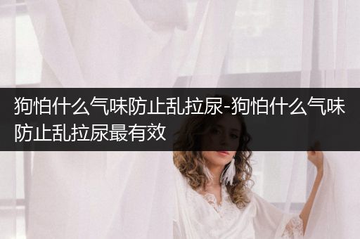 狗怕什么氣味防止亂拉尿-狗怕什么氣味防止亂拉尿最有效