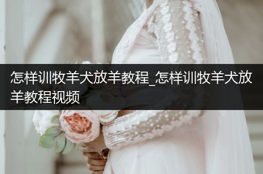 怎樣訓(xùn)牧羊犬放羊教程_怎樣訓(xùn)牧羊犬放羊教程視頻