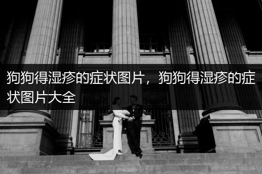 狗狗得濕疹的癥狀圖片，狗狗得濕疹的癥狀圖片大全