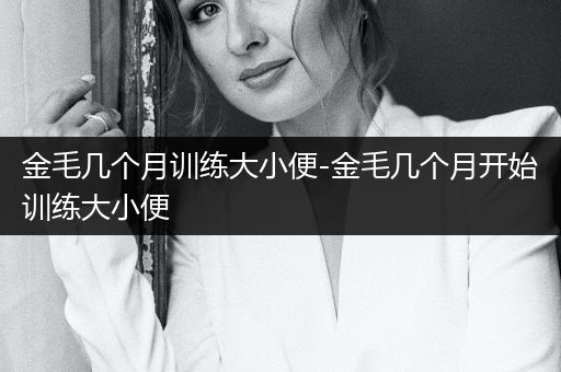 金毛幾個(gè)月訓(xùn)練大小便-金毛幾個(gè)月開始訓(xùn)練大小便