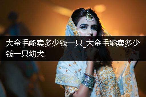 大金毛能賣多少錢一只_大金毛能賣多少錢一只幼犬