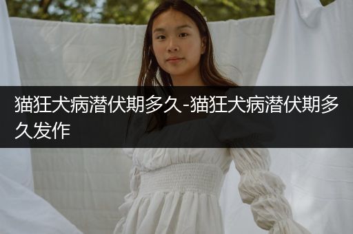 貓狂犬病潛伏期多久-貓狂犬病潛伏期多久發(fā)作