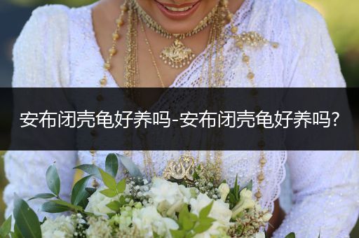 安布閉殼龜好養(yǎng)嗎-安布閉殼龜好養(yǎng)嗎?