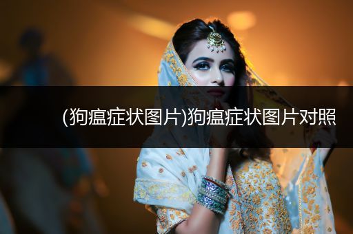 （狗瘟癥狀圖片)狗瘟癥狀圖片對(duì)照