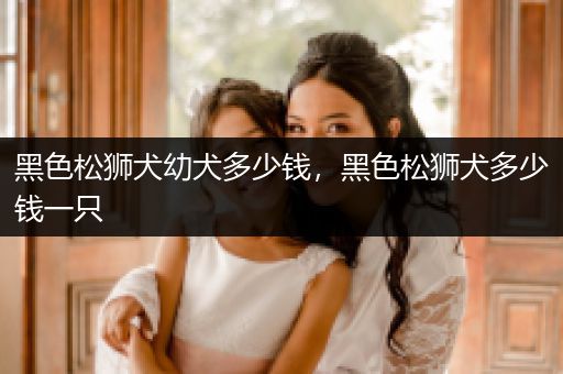 黑色松獅犬幼犬多少錢，黑色松獅犬多少錢一只