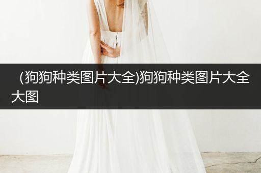 （狗狗種類圖片大全)狗狗種類圖片大全大圖