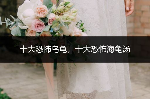 十大恐怖烏龜，十大恐怖海龜湯