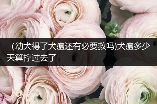 （幼犬得了犬瘟還有必要救嗎)犬瘟多少天算撐過(guò)去了