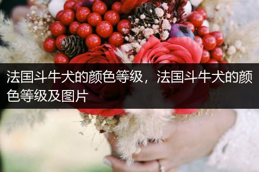 法國(guó)斗牛犬的顏色等級(jí)，法國(guó)斗牛犬的顏色等級(jí)及圖片