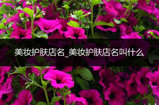 美妝護(hù)膚店名_美妝護(hù)膚店名叫什么