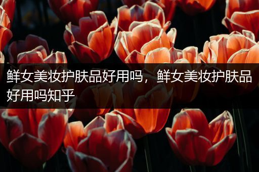 鮮女美妝護(hù)膚品好用嗎，鮮女美妝護(hù)膚品好用嗎知乎