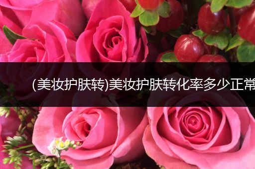 （美妝護(hù)膚轉(zhuǎn))美妝護(hù)膚轉(zhuǎn)化率多少正常