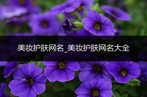 美妝護(hù)膚網(wǎng)名_美妝護(hù)膚網(wǎng)名大全