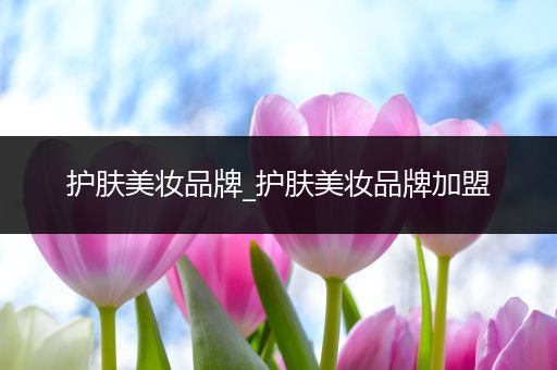 護(hù)膚美妝品牌_護(hù)膚美妝品牌加盟