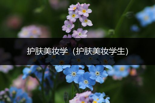 護(hù)膚美妝學(xué)（護(hù)膚美妝學(xué)生）