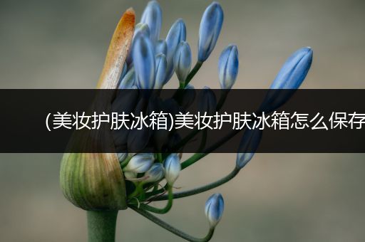 （美妝護(hù)膚冰箱)美妝護(hù)膚冰箱怎么保存