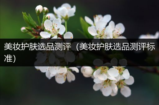 美妝護(hù)膚選品測(cè)評(píng)（美妝護(hù)膚選品測(cè)評(píng)標(biāo)準(zhǔn)）