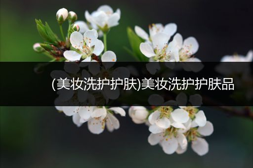 （美妝洗護(hù)護(hù)膚)美妝洗護(hù)護(hù)膚品